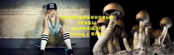 ГАЛЛЮЦИНОГЕННЫЕ ГРИБЫ Нягань