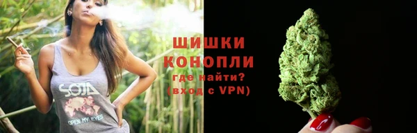 spice Осинники