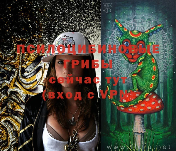 ГАЛЛЮЦИНОГЕННЫЕ ГРИБЫ Нягань