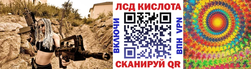 omg зеркало  купить наркотики сайты  Кондрово  Наркотические марки 1500мкг 